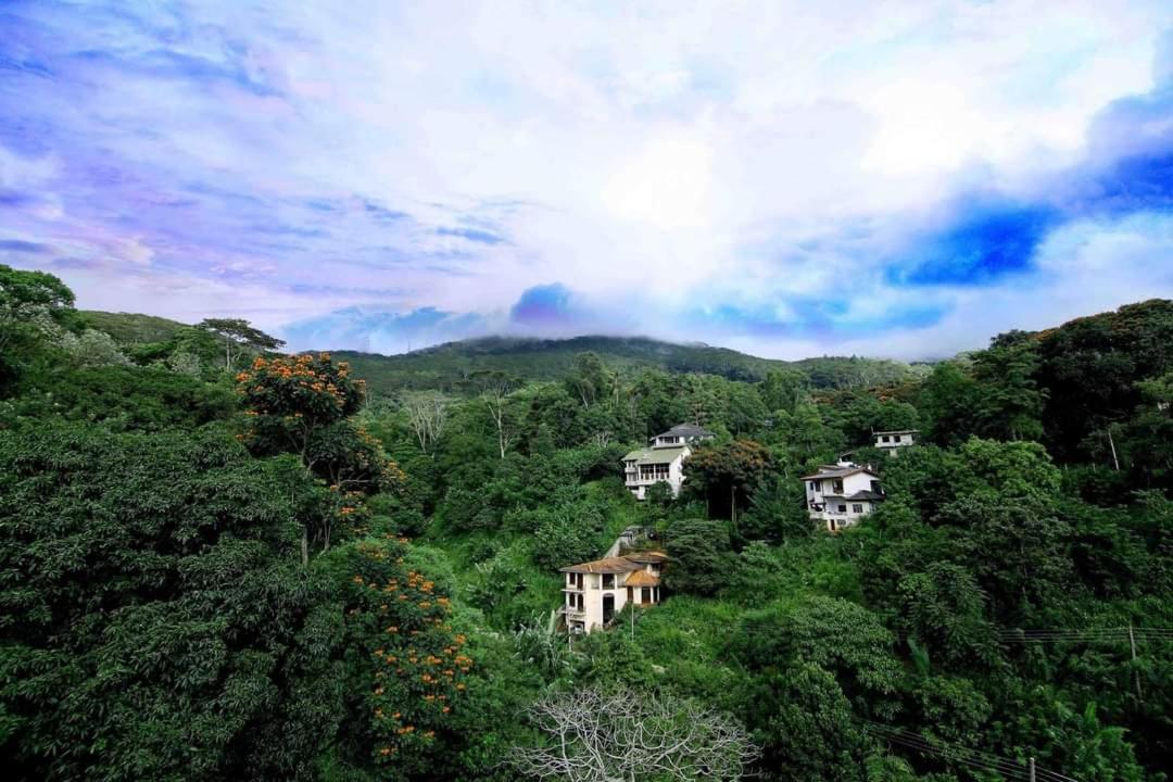Hillcrest Villa Peradeniya Zewnętrze zdjęcie